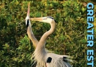 Greater Estero Magazine